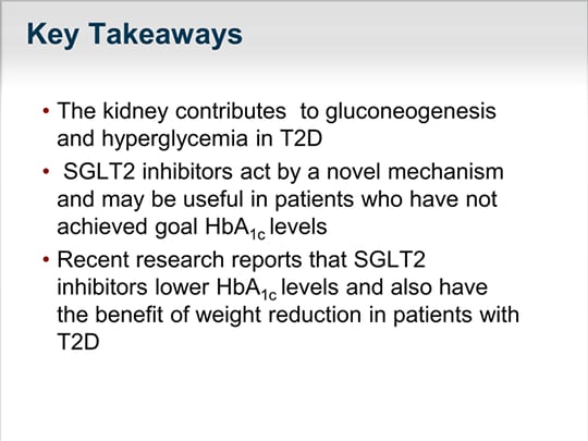 The Kidney And Glucose Homeostasis: Why Target SGLT2 In Diabetes ...