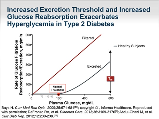 The Kidney and Glucose Homeostasis: Why Target SGLT2 in Diabetes ...