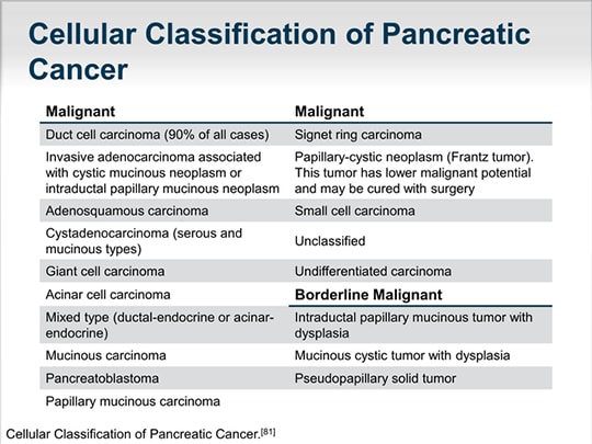 Improving Treatment Outcomes And Sharing Decision Making In Pancreatic Cancer Transcript