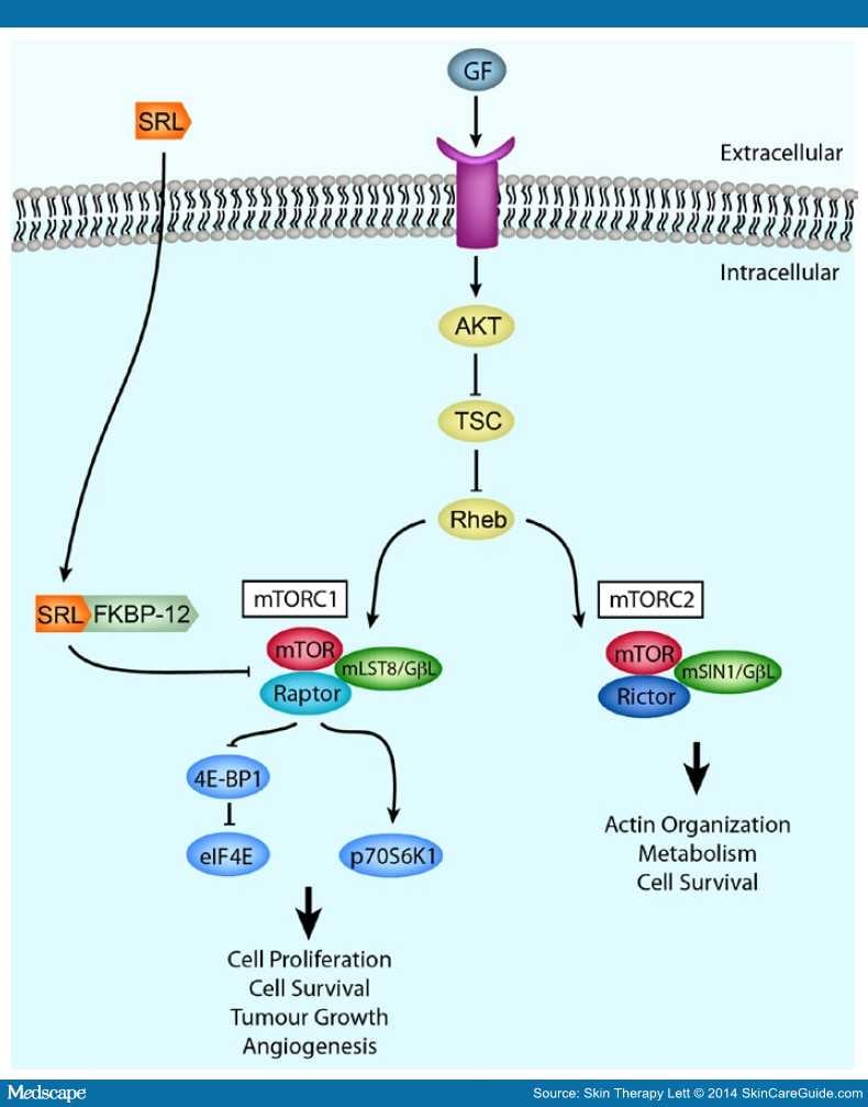 Sirolimus: A Therapeutic Advance for Dermatologic Disease