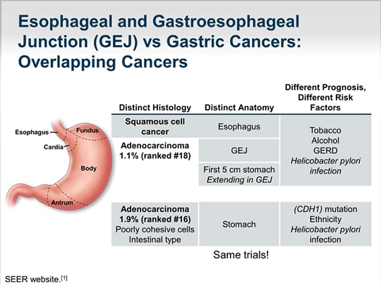 Treatment of Advanced Gastric Cancer in 2014: Expanding Horizons