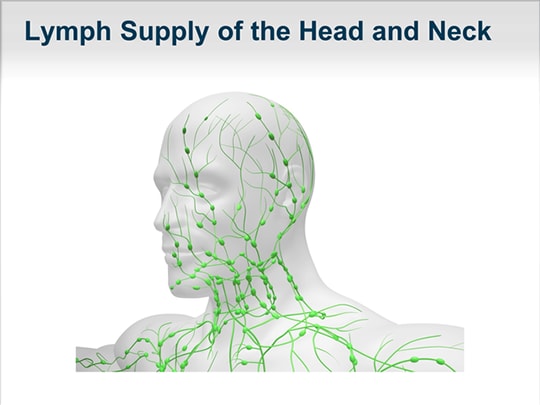 Expert Perspectives on Best Practices in Sentinel Lymph Node Mapping in ...