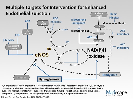 The Role Of Nitric Oxide In Cardiovascular Disease (Transcript)