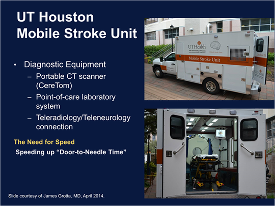 Opening The Window Of Time In Stroke Therapy New Evidence For The