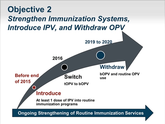 The Polio Eradication And Endgame Strategic Plan: Implications Of ...