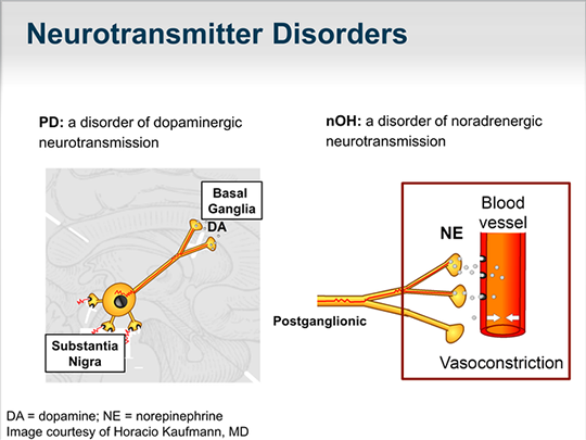 Slide 9.