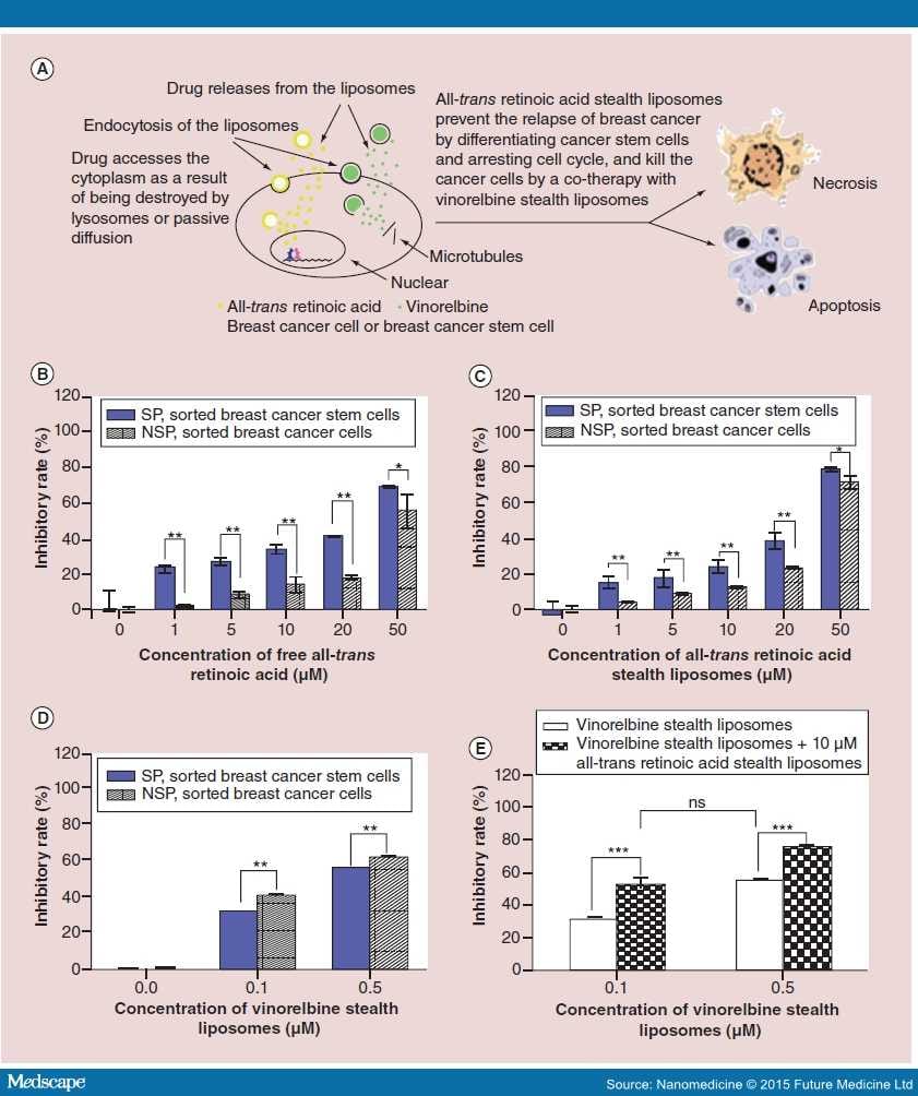 Drug Delivery Using Nanocarriers for Targeting Cancer Cells - Page 4
