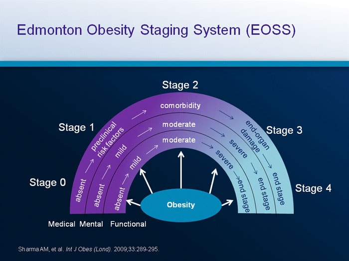 Management of Obesity: Strategies for Long-Term Success