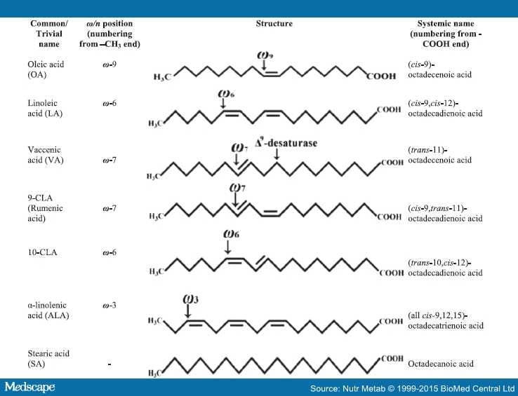 Pros and Cons of CLA Consumption: Clinical Evidence