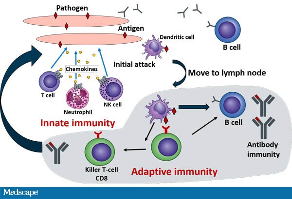 Is Defense The Best Offense In Cancer Immunology