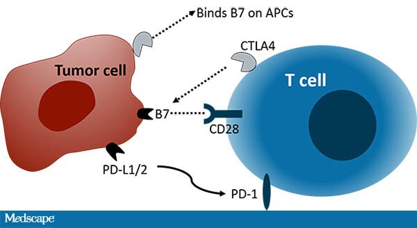 Is Defense the Best Offense in Cancer Immunology?