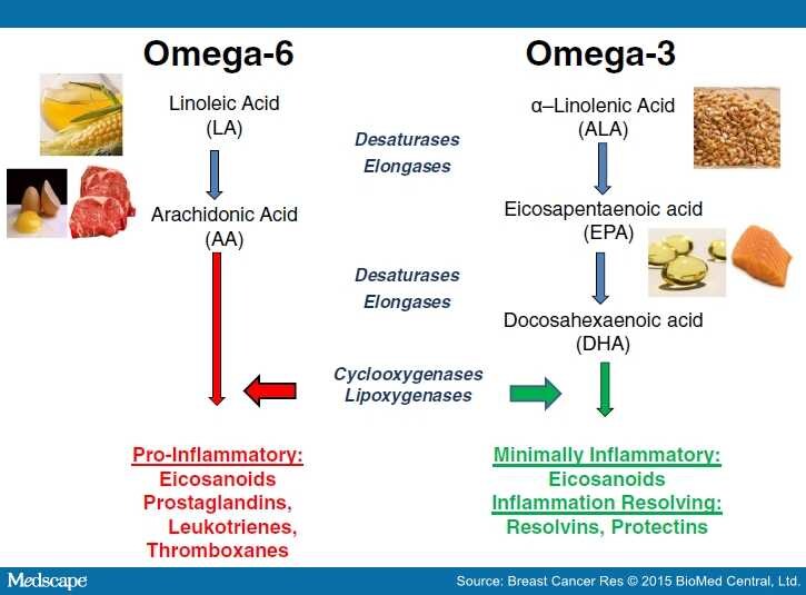 Omega3 Fatty Acids for Breast Cancer Prevention, Survivorship