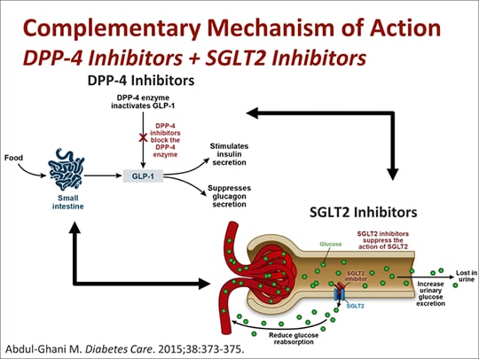 How Effective Is Fixed Dose Combination Therapy in T2D and 