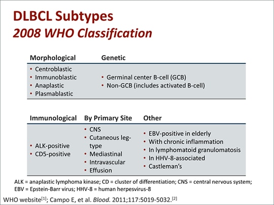 Updates In Diffuse Large B-cell Lymphoma (Transcript)