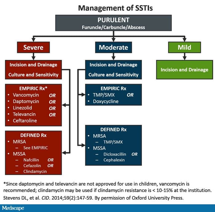 A Case Based Approach To Acute Bacterial Skin And Skin Structure Infections 3899