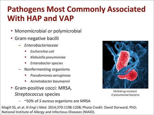 Emerging Therapies for Hospital-Acquired and Ventilator-Associated