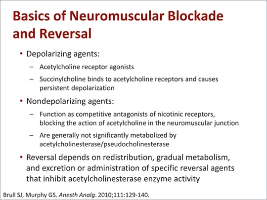 Neuromuscular Blockade Reversal: Enhancing Recovery (Transcript)