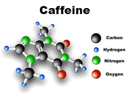 caffeine half life redd
