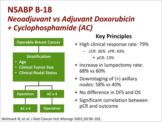 Optimizing Neoadjuvant Treatment For Primary Breast Cancer (Transcript)