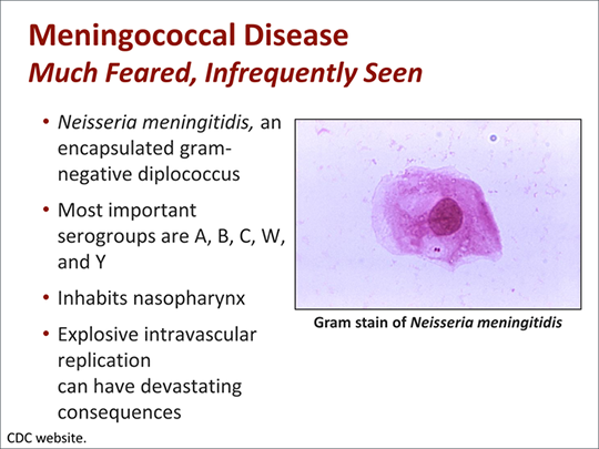 Meningococcal B Disease: Implementing The ACIP Category B Vaccine ...