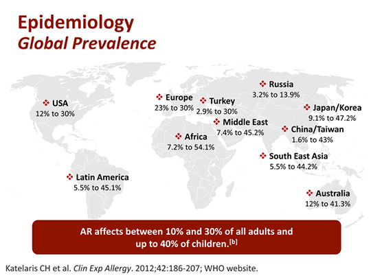 Over-the-Counter Allergic Rhinitis Treatments: Navigating the Maze