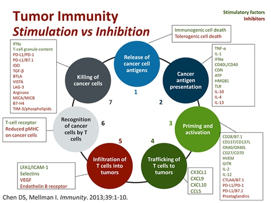 Hiding In Plain Sight: How Cancer Evades The Immune System (Transcript)