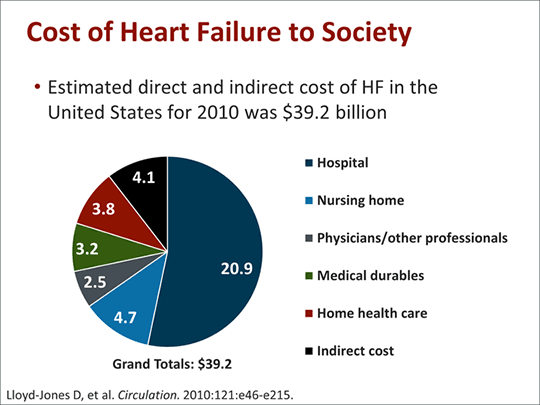 Heart Failure and Hospital Readmissions: New Solutions to an Old ...