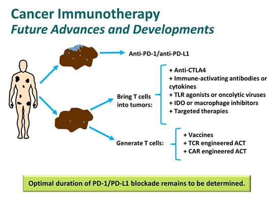 Advances in Cancer Immunotherapy for Solid Tumors: Expert Perspectives ...