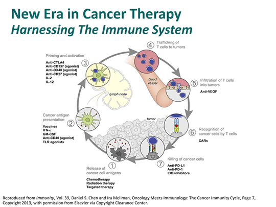 Advances in Cancer Immunotherapy for Solid Tumors: Expert Perspectives ...