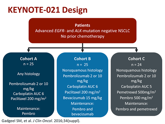 Emerging Considerations in the Use of Immune Checkpoints in Lung Cancer ...