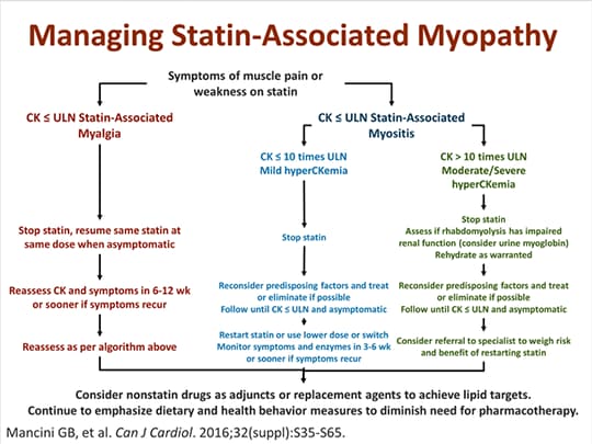 A Patient Journey Through Statin Intolerance: What Have We Learned ...