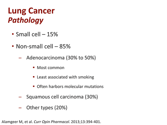 The Nurse View: Best Practices in Advanced Non-Small Cell Lung Cancer ...