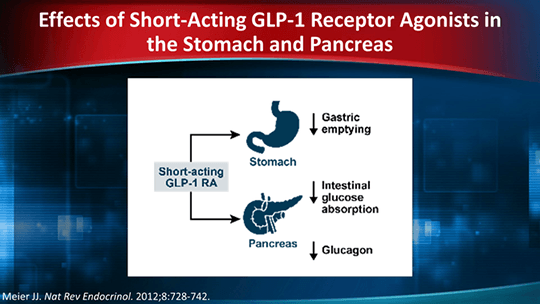 Curated visual reference: Postprandial Glucose Regulation With Glp 1 Reference: Managing Postprandial Glucose Ppg Excursions With A Glp 1 Agonist