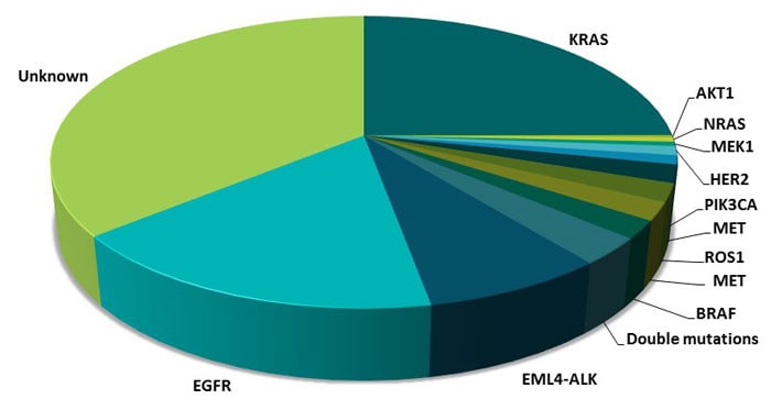 EGFR Targeted Therapies for Advanced Non-Small Cell Lung Cancer (NSCLC)