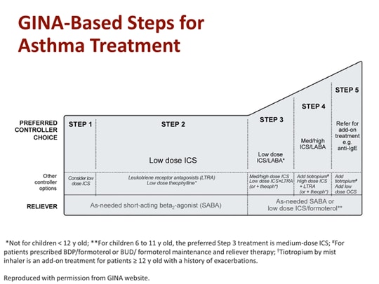 Moderate-to-severe Asthma Management: Focus On Control-based Strategies 