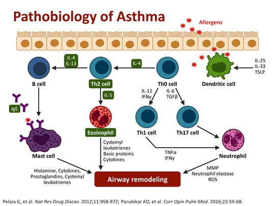 Moderate-to-Severe Asthma Management: Focus on Control-Based Strategies ...