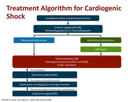 Cardiogenic Shock: Time To Improve Outcomes? (Transcript)