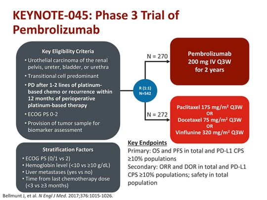 A New Path Forward? Immune Checkpoint Inhibitors in Bladder Cancer ...