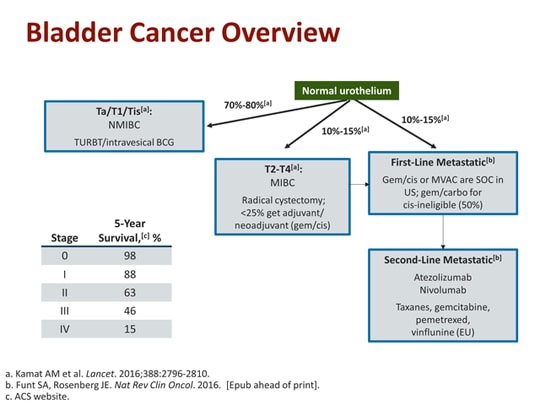 A New Path Forward? Immune Checkpoint Inhibitors in Bladder Cancer ...