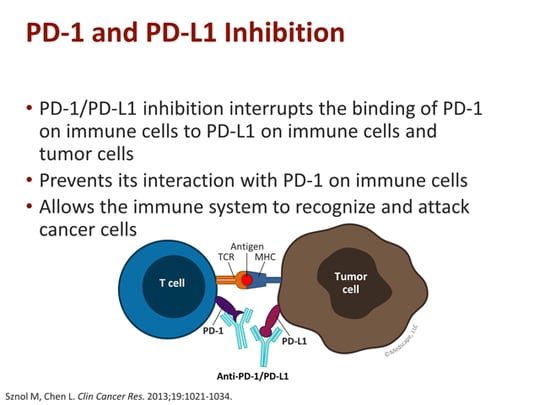 A New Path Forward? Immune Checkpoint Inhibitors in Bladder Cancer