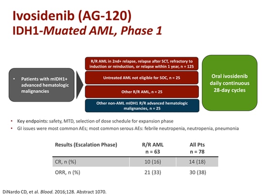 AML Research Focus: Exploring New Treatment Options AML Research Focus: Exploring New Treatment Options