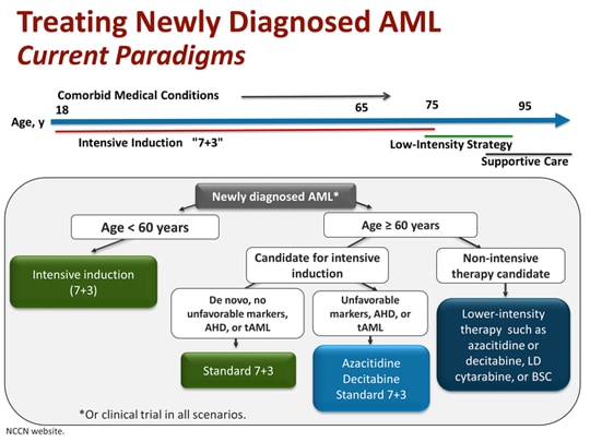 AML Research Focus Exploring New Treatment Options