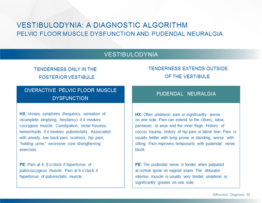 Vulvodynia: A Common and Under-Recognized Pain Disorder in Women and ...