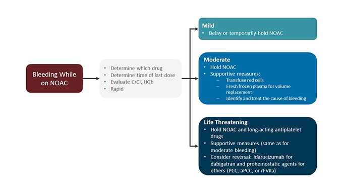 Case Crossroads in Thromboembolic Disease: Apply Your Skills