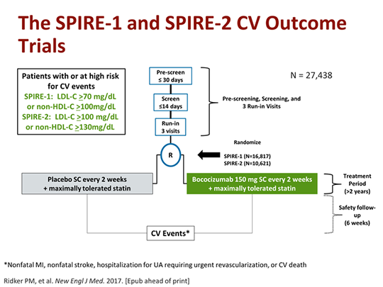 Slide 23.