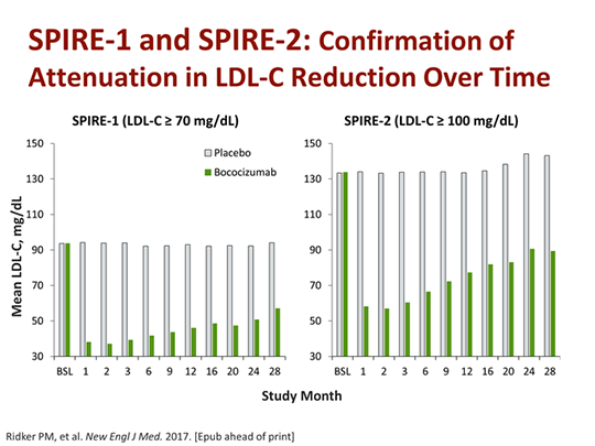Slide 25.