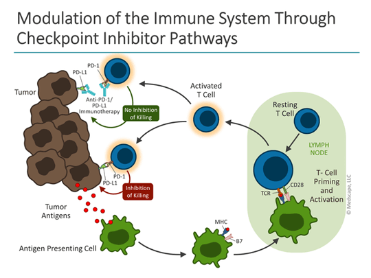 Advancing Care Forward in Squamous Cell Carcinoma of the Head and Neck ...