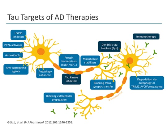 New Therapies In Alzheimer's Disease: A Review Of The Similarities And ...