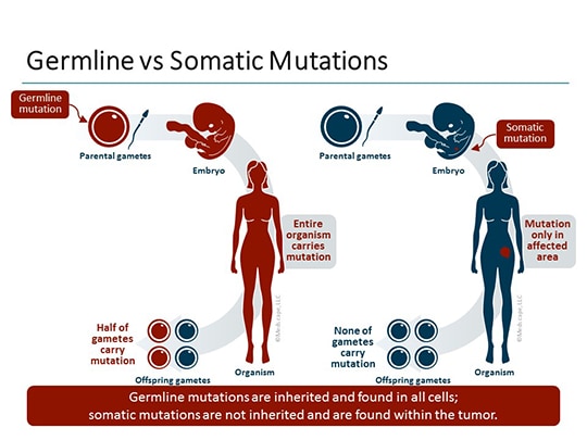 The Nurse View Clinical Considerations in Managing BRCA