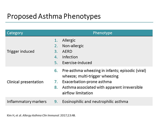 Severe Asthma: Fundamentals of Pathophysiology and Targeted Therapies ...